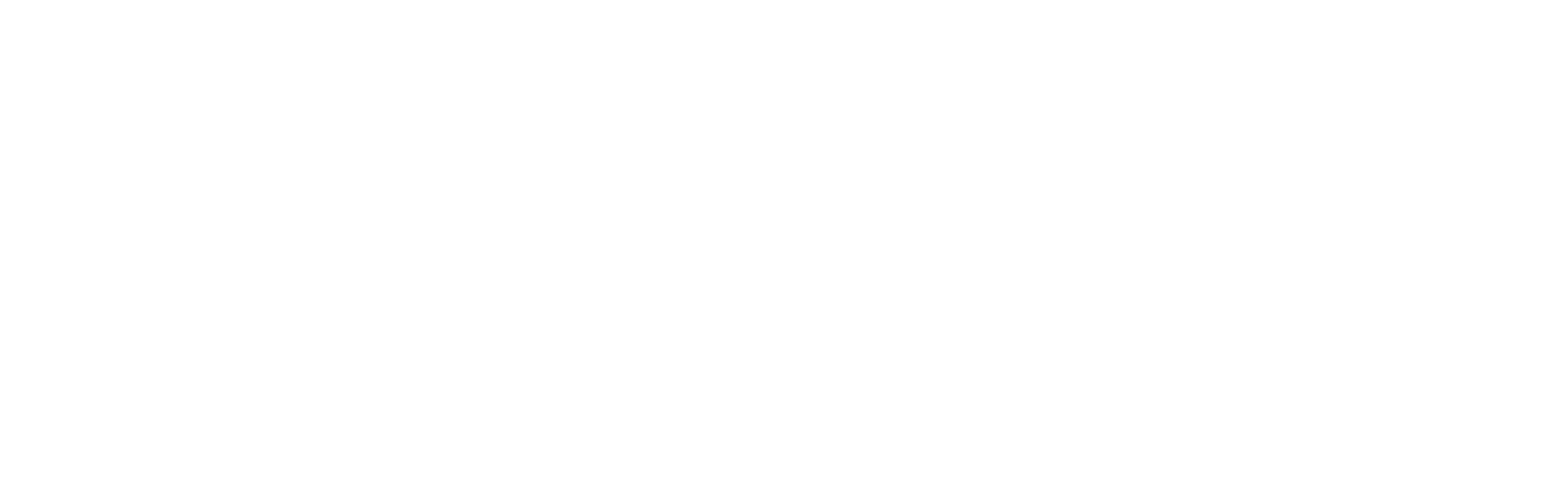 VIOMES